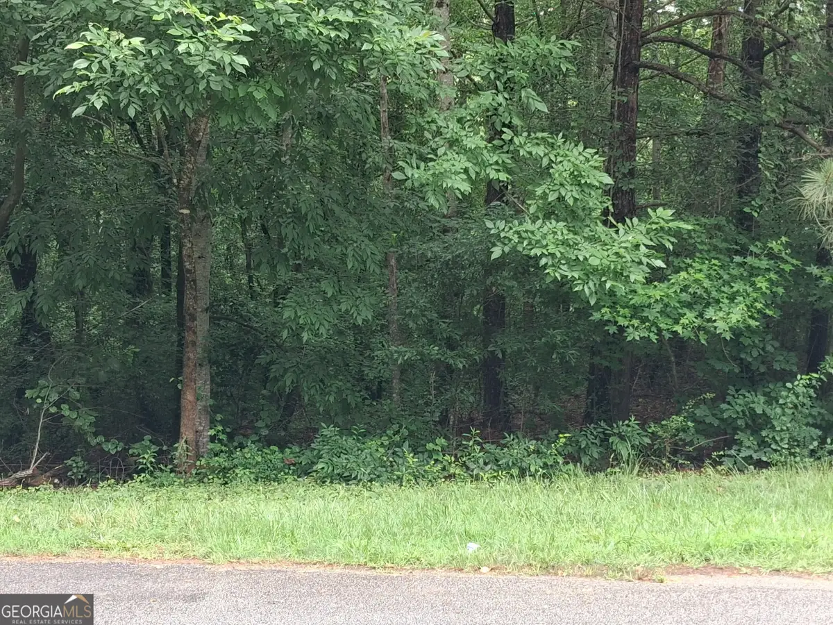 0 N Pleasant Oak Drive, Temple, GA 30179 - #1