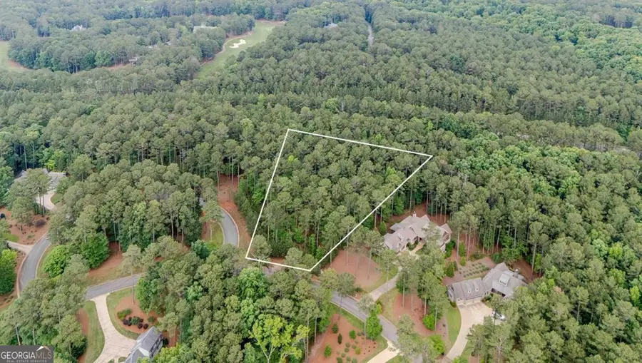 1080 Mill Creek, Greensboro, GA 30642 - #2