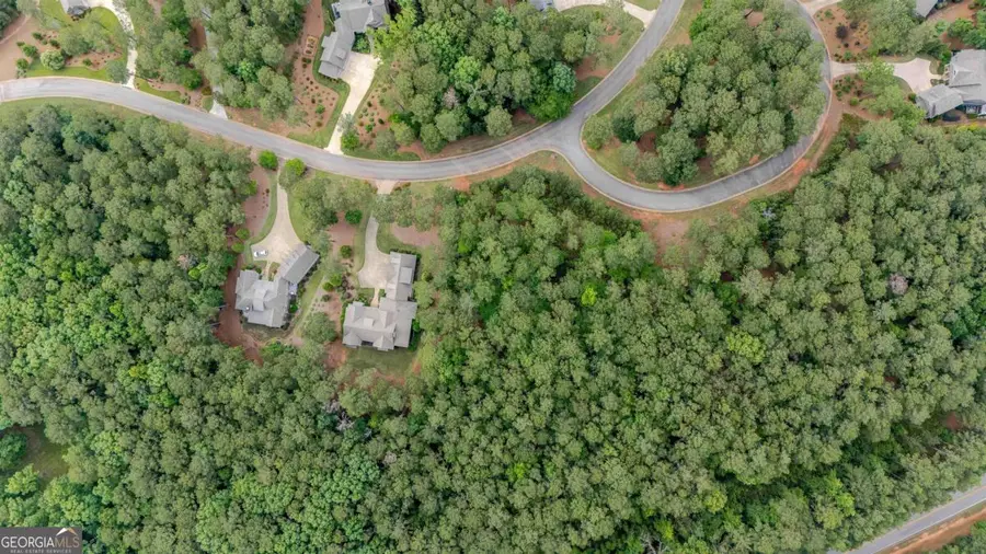 1080 Mill Creek, Greensboro, GA 30642 - #3