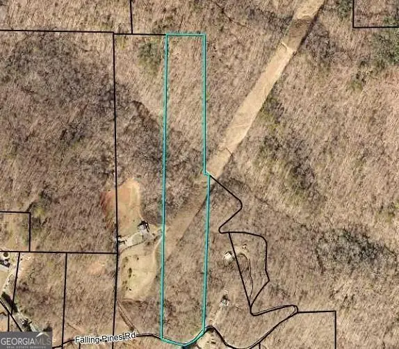 0 Falling Pines Road, Dahlonega, GA 30533 - #1
