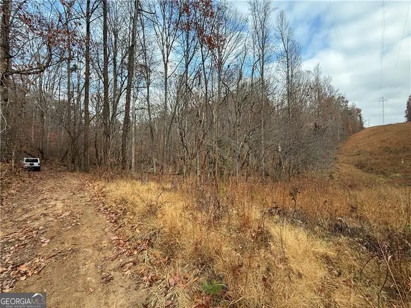 0 Falling Pines Road, Dahlonega, GA 30533 - #3
