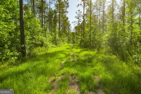0 Weaver Jones Road, Rutledge, GA 30663