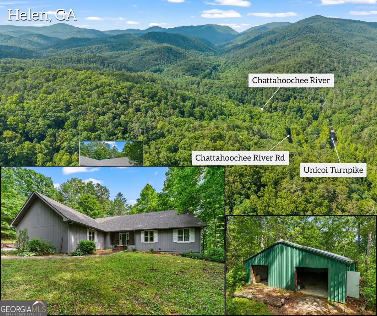 262 Patrick Ln, Helen, GA 30545 - #1