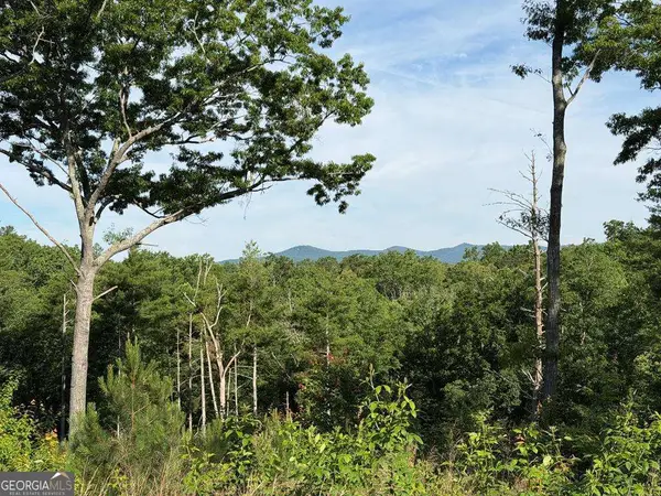LT 304 Greenwood Court #304, Ellijay, GA 30540