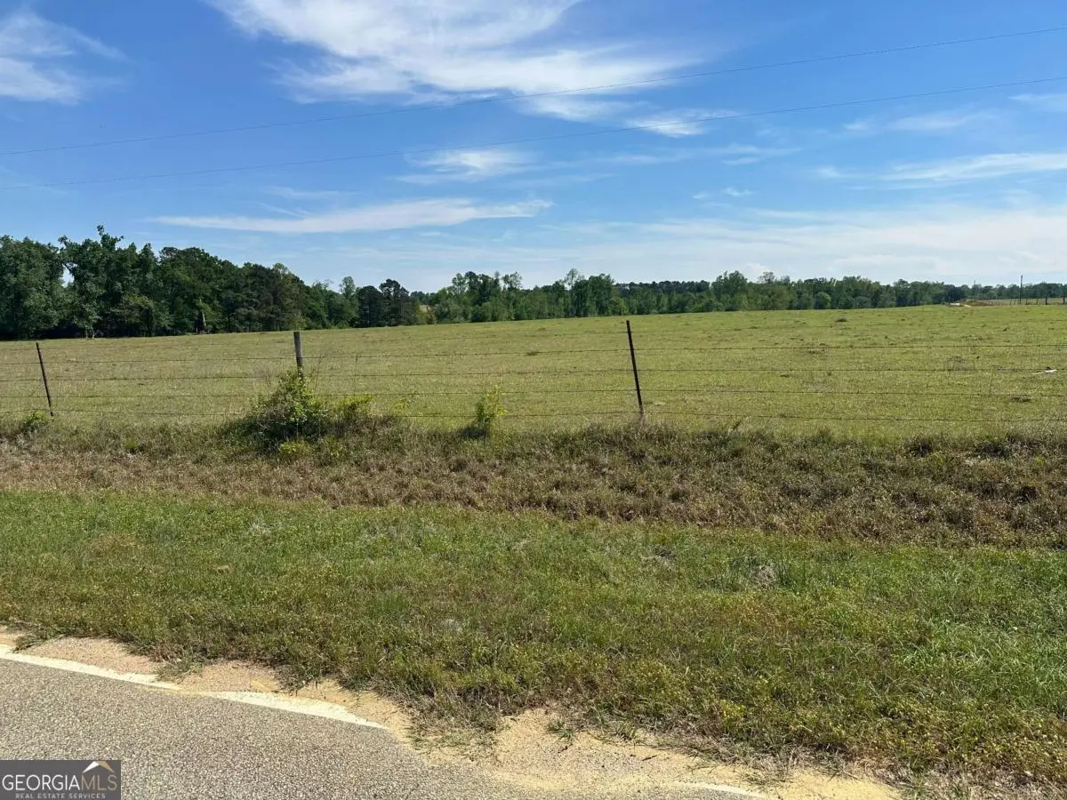 2905 Donald Cobb Road, Bartow, GA 30413 - #1