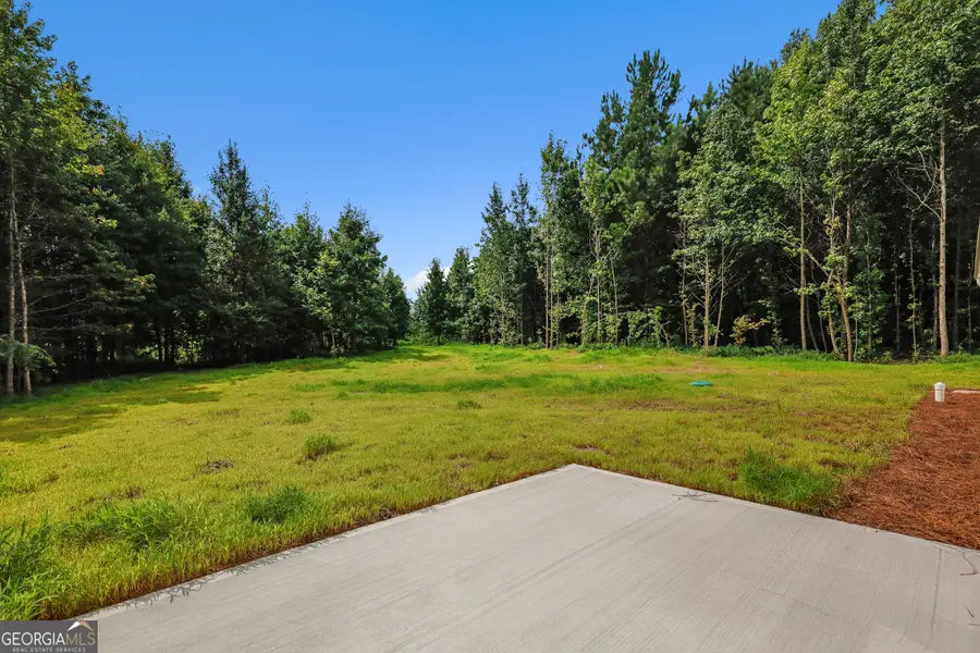 332 Elizabeth Court #LOT 26, Colbert, GA 30628 - #3