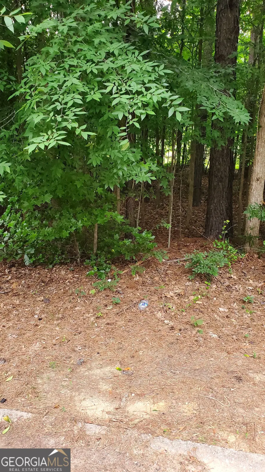 4515 Forrest Bend Court, Snellville, GA 30039 - #3