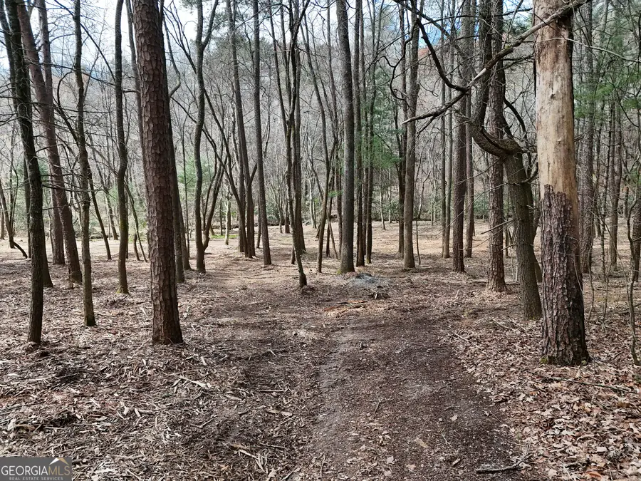 LT 45A Synacia Drive, Mineral Bluff, GA 30559 - #3