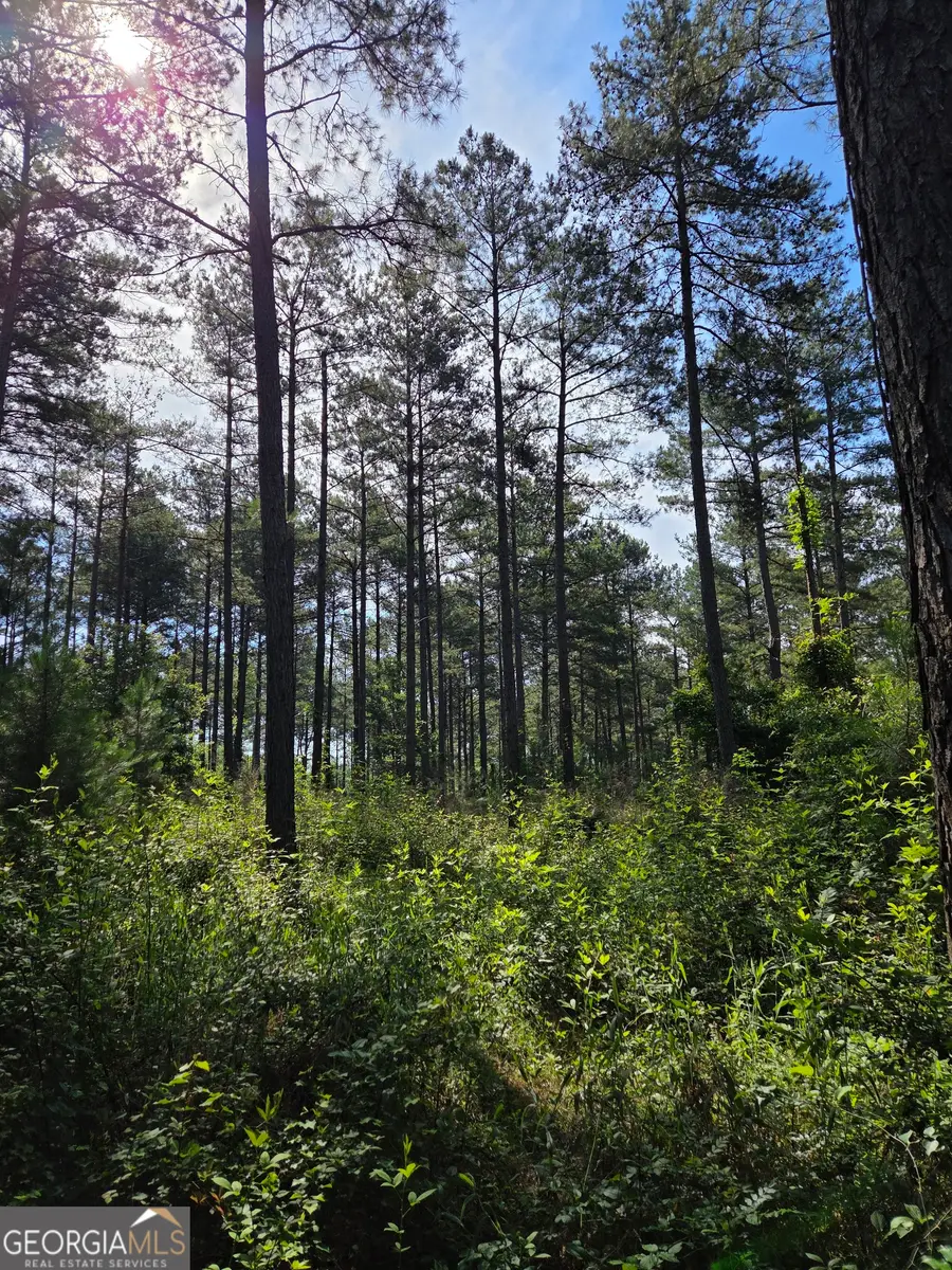 0 PERKINS ROAD Perkins Road, Barnesville, GA 30204 - #3