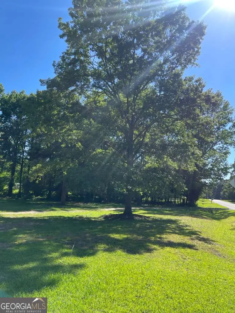 1071 Dials Mill Spur, Statham, GA 30666 - #3