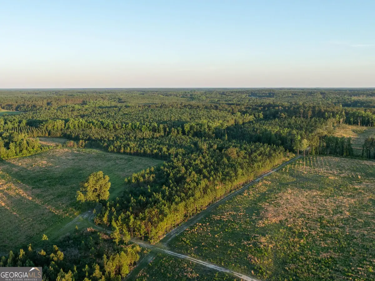 300 Beulah Road, Sylvania, GA 30467 - #1