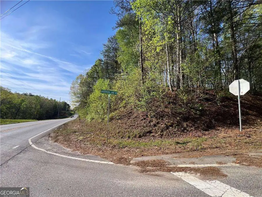 6425 Anderson Lake Road, Dawsonville, GA 30534 - #3