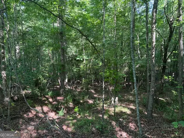 0 Wildwood Lane, Thomson, GA 30824 - #3