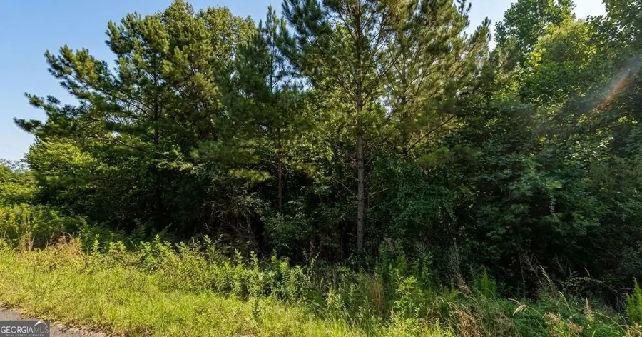 0 County Road 367 #LOT 52, Crane Hill, AL 35053 - #3