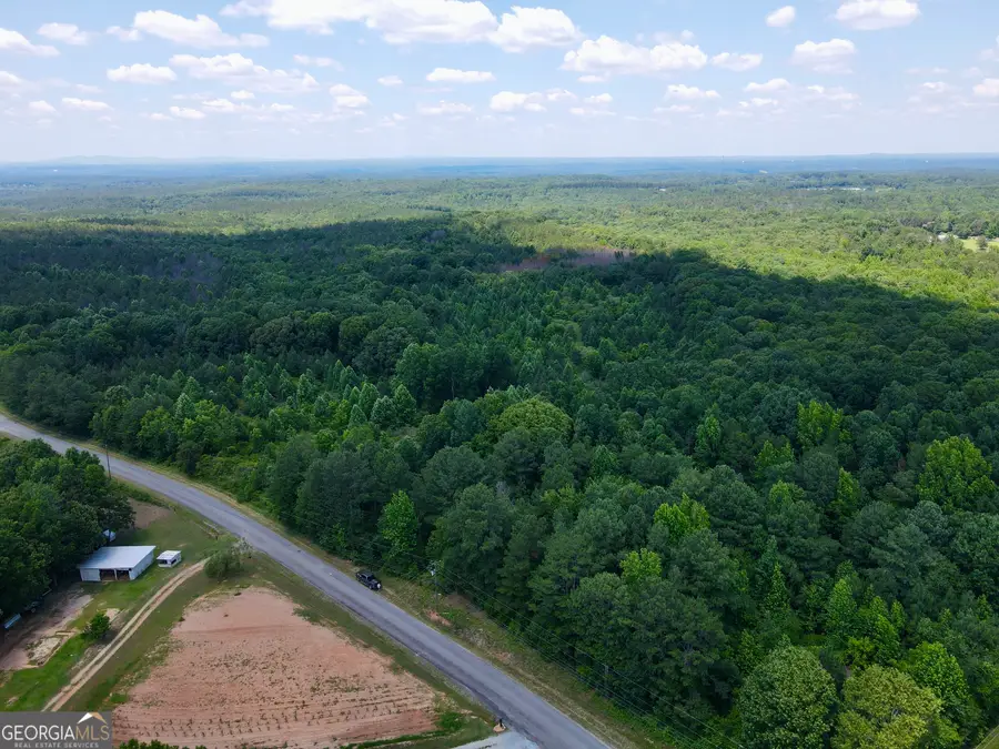451 Two Rock Road, Waco, GA 30182 - #3