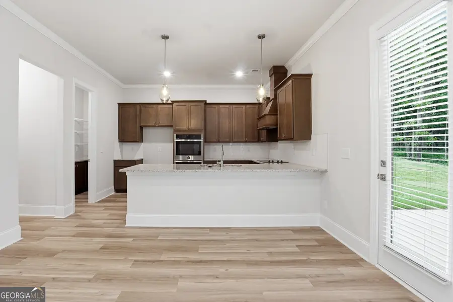 388 Mistwood Court, McDonough, GA 30253 - #3