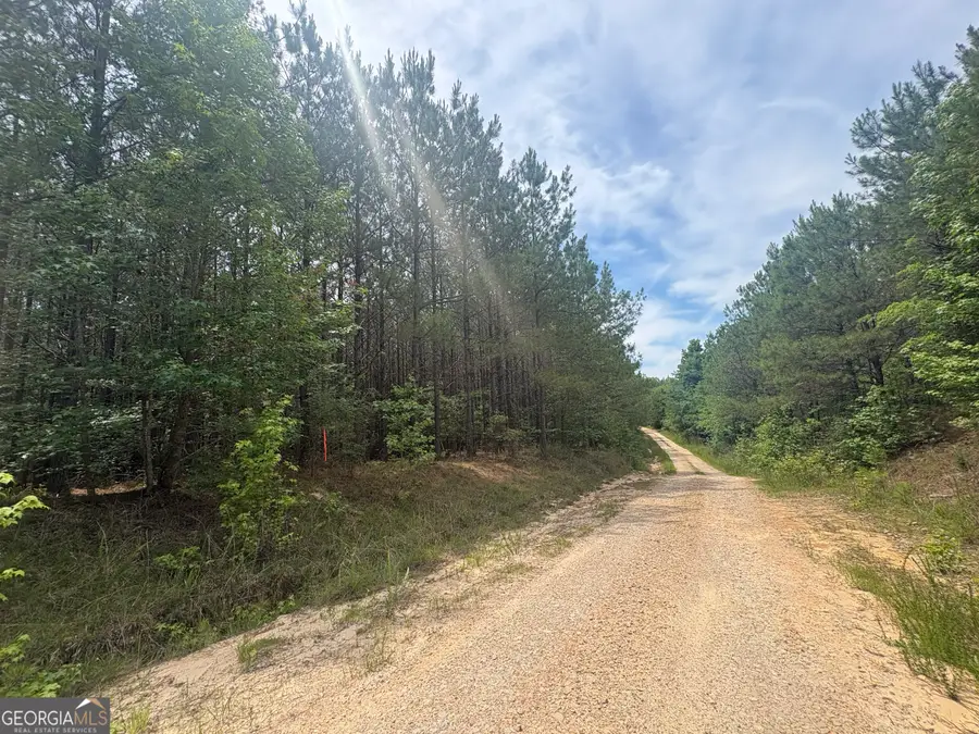 4 Callaway Road, Tignall, GA 30668 - #2