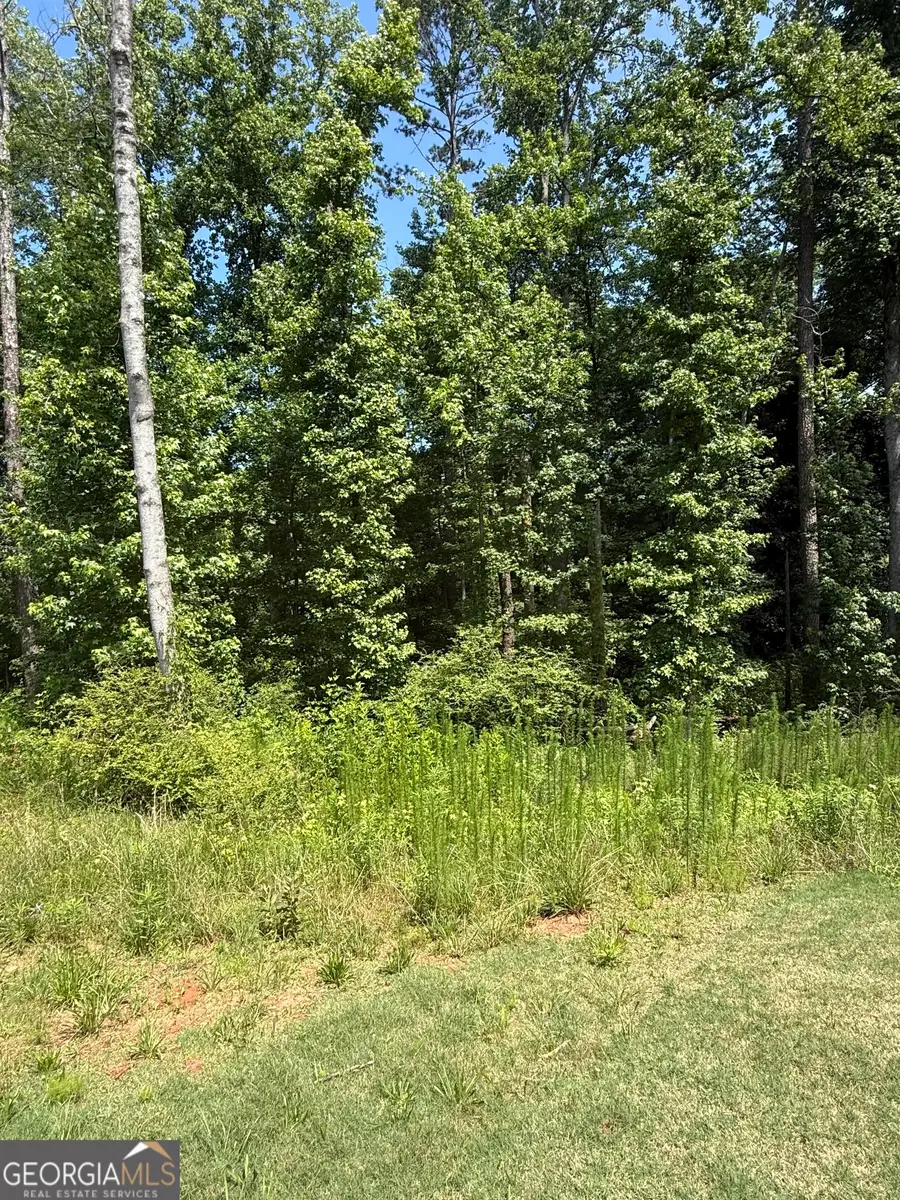 1665 Piedmont Road, Griffin, GA 30224 - #2