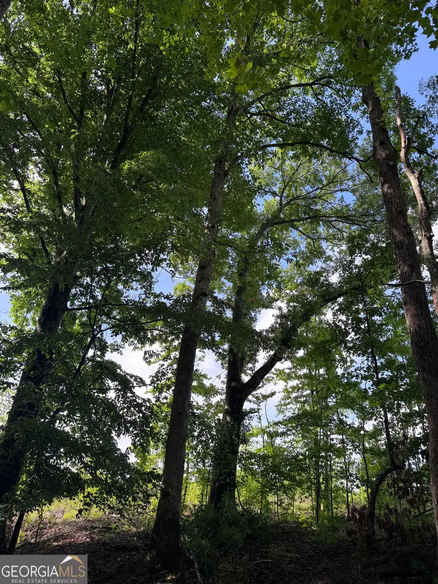 0 Po Biddy Road, Thomaston, GA 30286 - #2