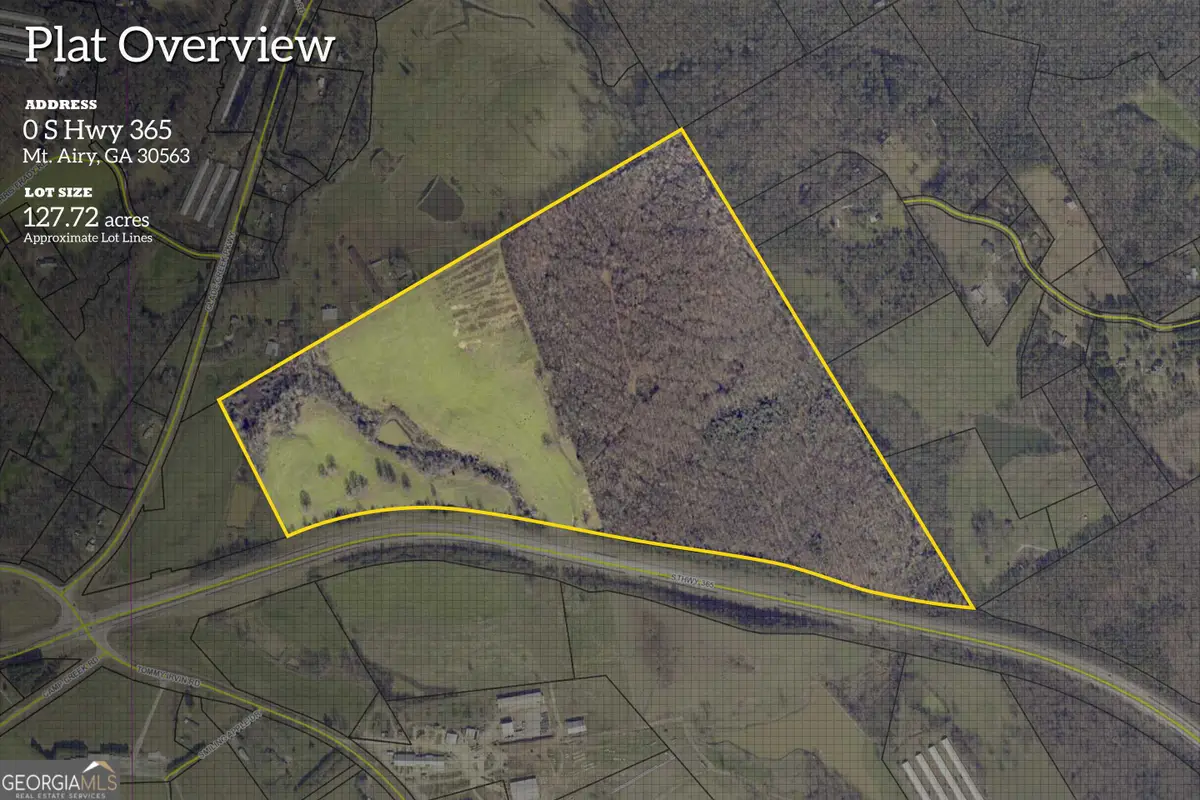 127 ACRES HWY 3 Sthighway 365, Mount Airy, GA 30563 - #1