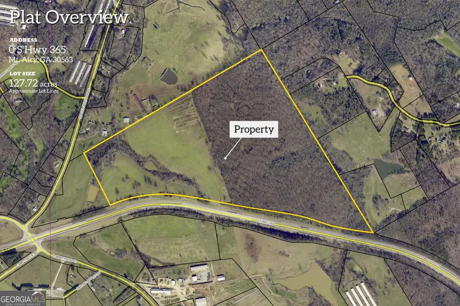 127 ACRES HWY 3 Sthighway 365, Mount Airy, GA 30563 - #2