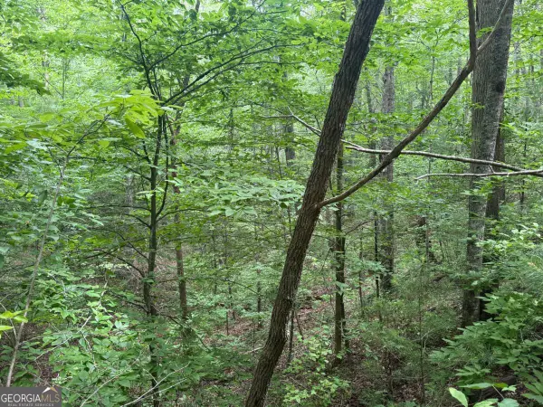 1 AC Spiva Cove Circle, Blairsville, GA 30512