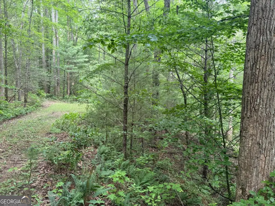 1 AC Spiva Cove Circle, Blairsville, GA 30512 - #2
