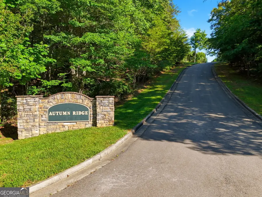 0 Autumn Ridge Drive, Mineral Bluff, GA 30559 - #3