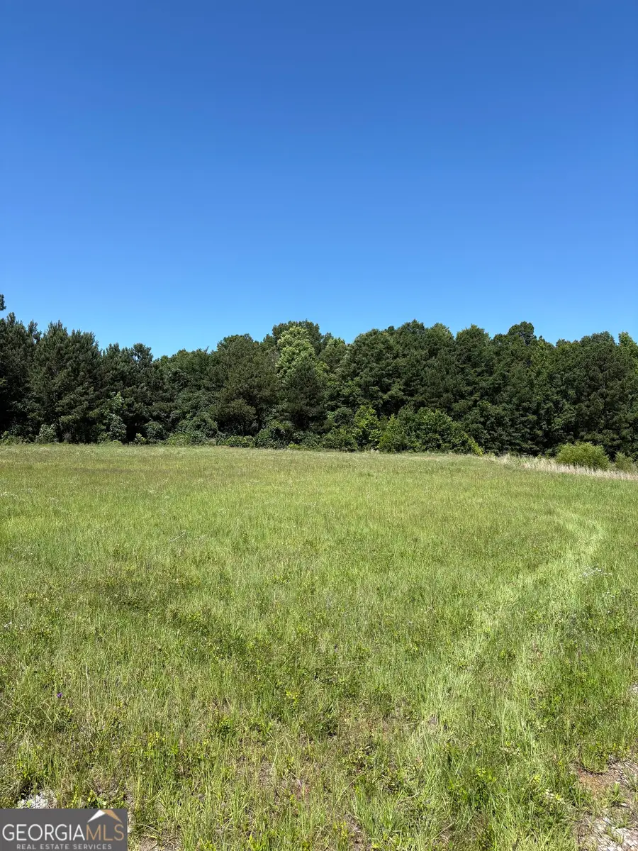 3.31 M Friedman Drive, Sandersville, GA 31082 - #3