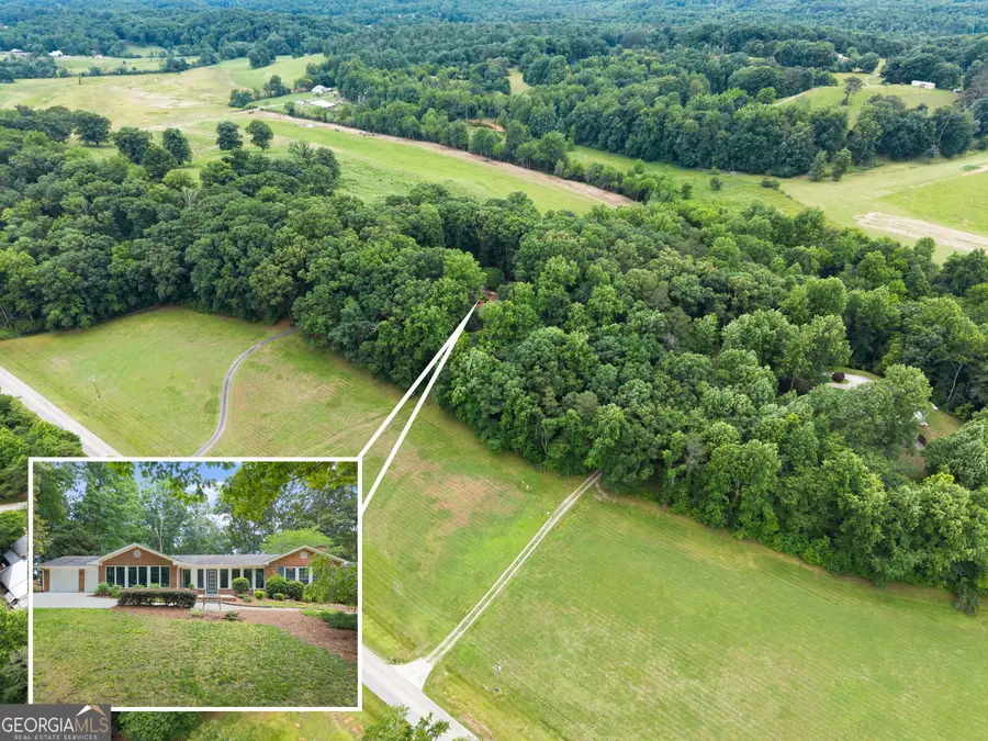 2290 Alec Mountain Rd, Clarkesville, GA 30523 - #2