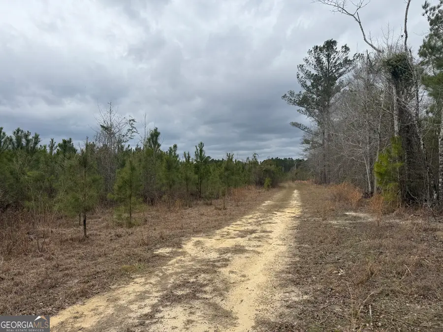 5 Keen Road, Cadwell, GA 31009 - #3