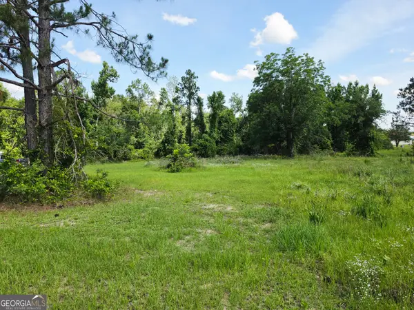 0 Sawmill, Ailey, GA 30410