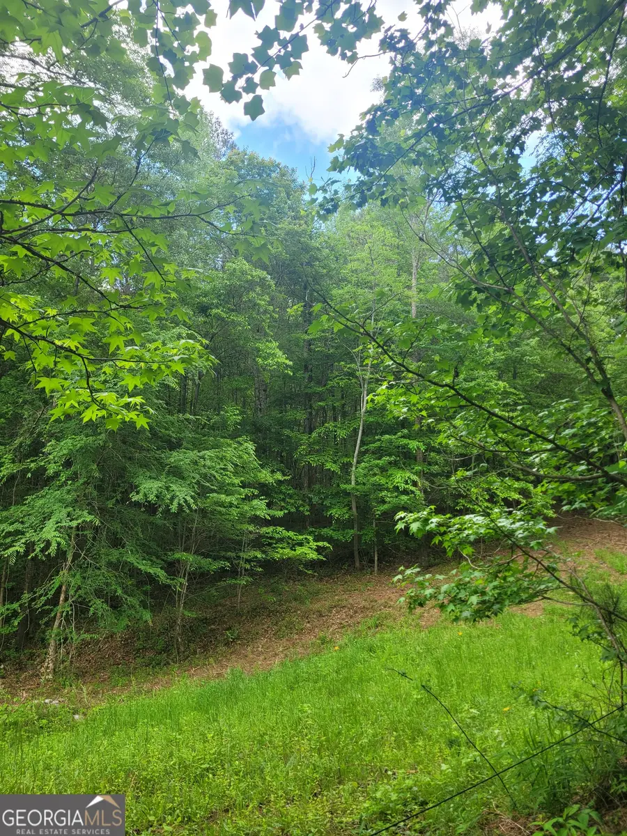 0 Fincherville Road #TRACT 3, Jackson, GA 30233 - #2