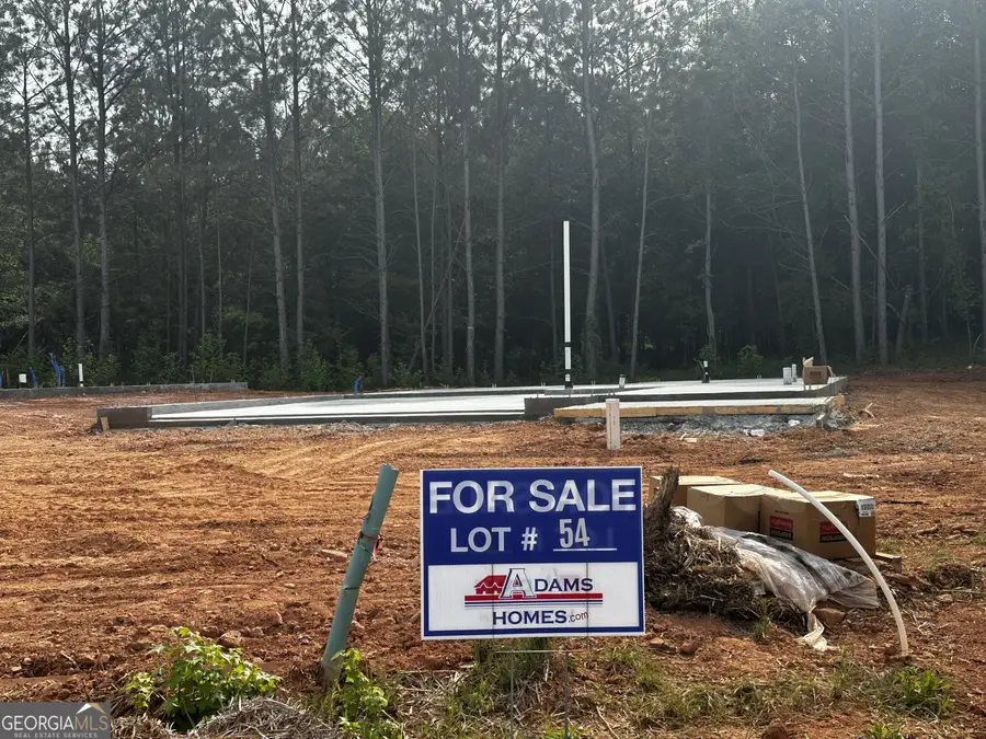 213 Laney Drive #LOT 54, Carrollton, GA 30117 - #3