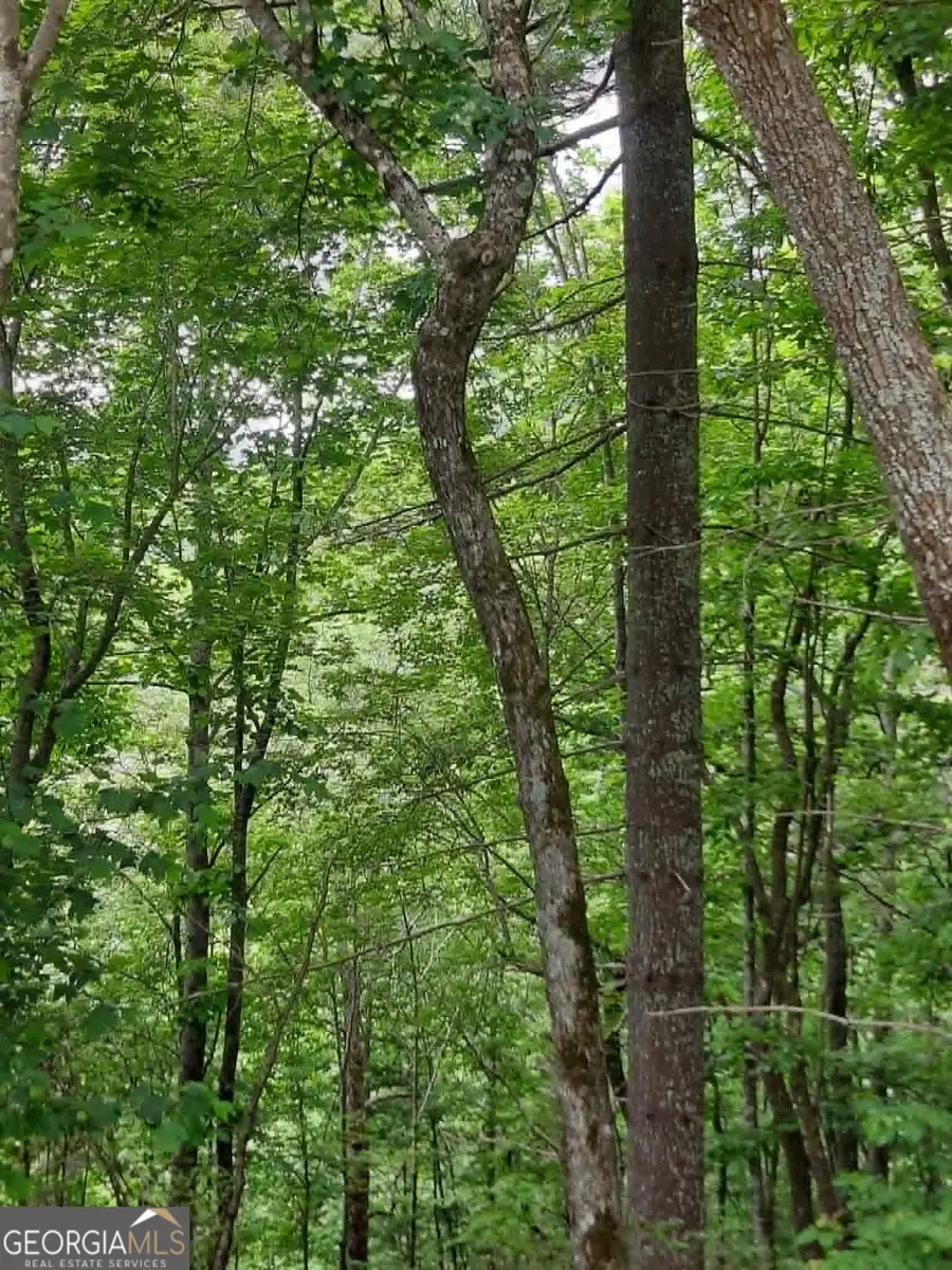 0 LOT 37 Saddleback Circle, Sky Valley, GA 30537 - #3