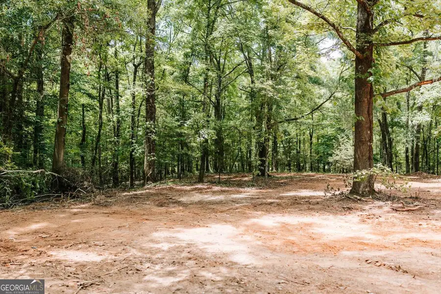 2605 Union Point Road, Union Point, GA 30669 - #3