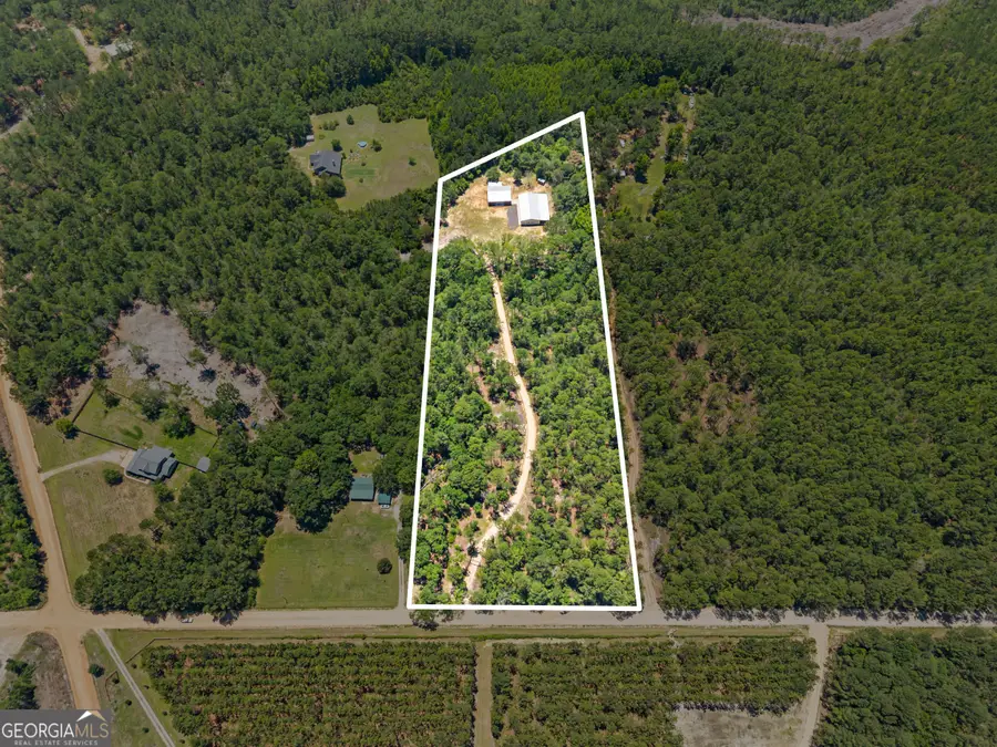2579 Buie Driggers Road, Brooklet, GA 30415 - #2