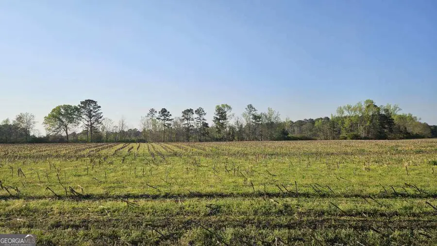 0 Shiloh Road, Greensboro, GA 30642 - #2