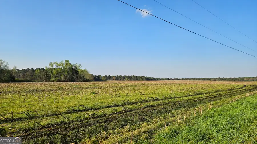 0 Shiloh Road, Greensboro, GA 30642 - #3