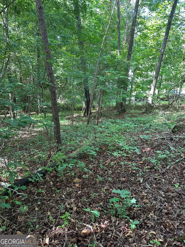 0 View Street, Clarkesville, GA 30523