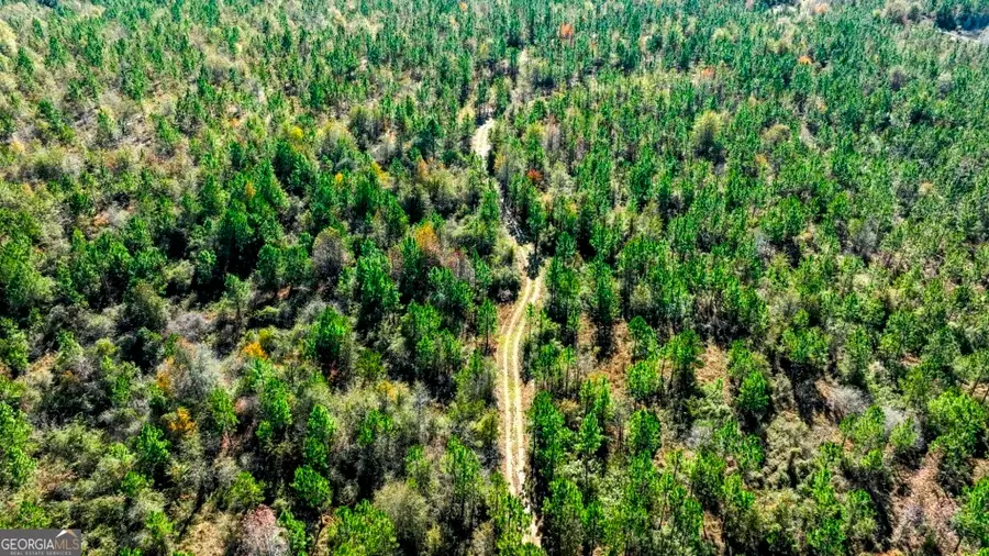 0 Morton Road, Dublin, GA 31021 - #3