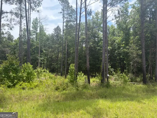 1 Sunhill Grange Road, Davisboro, GA 31018