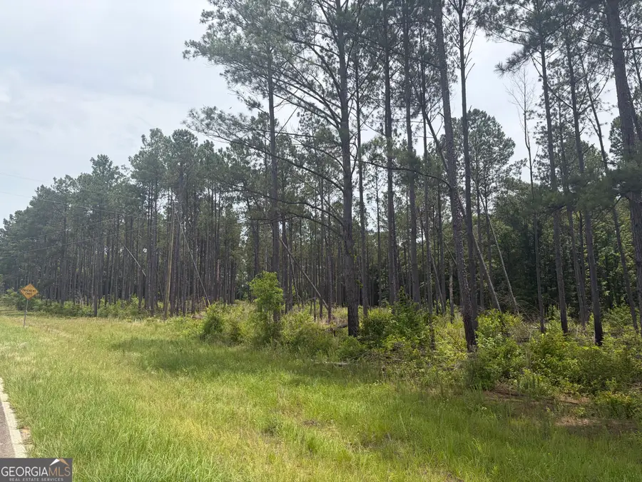 1 Sunhill Grange Road, Davisboro, GA 31018 - #2