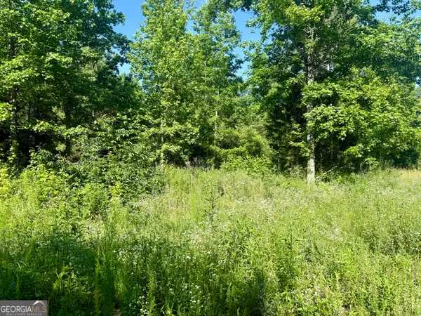 249 Weems Road, Lyerly, GA 30730