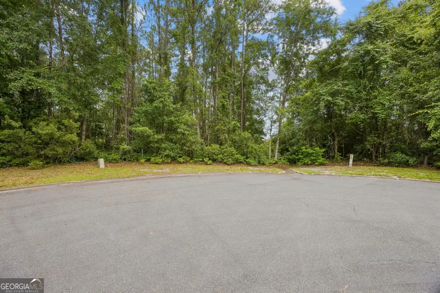 0 Heron Point Lane, Woodbine, GA 31569 - #2
