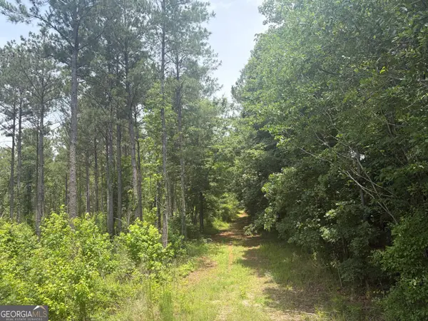 2 Sunhill Grange Road, Davisboro, GA 31018