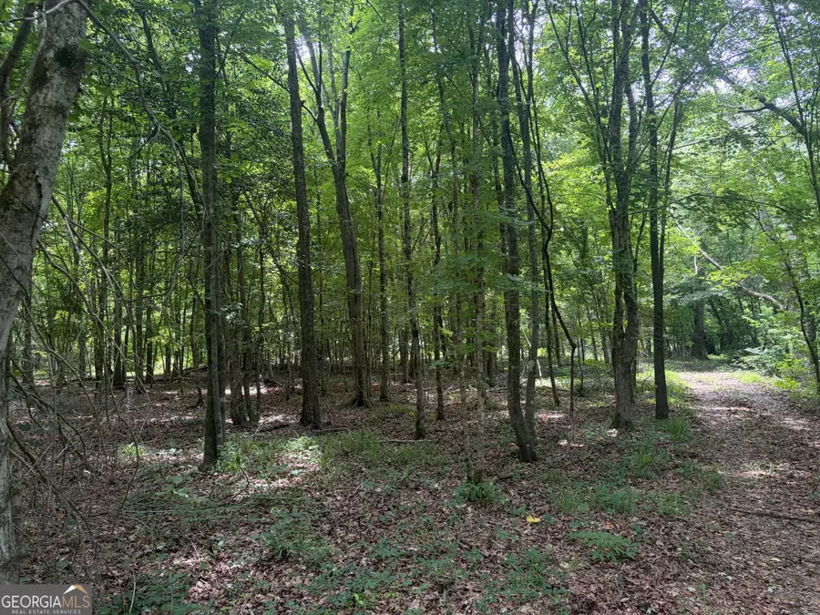 3 Sunhill Grange Road, Davisboro, GA 31018 - #2