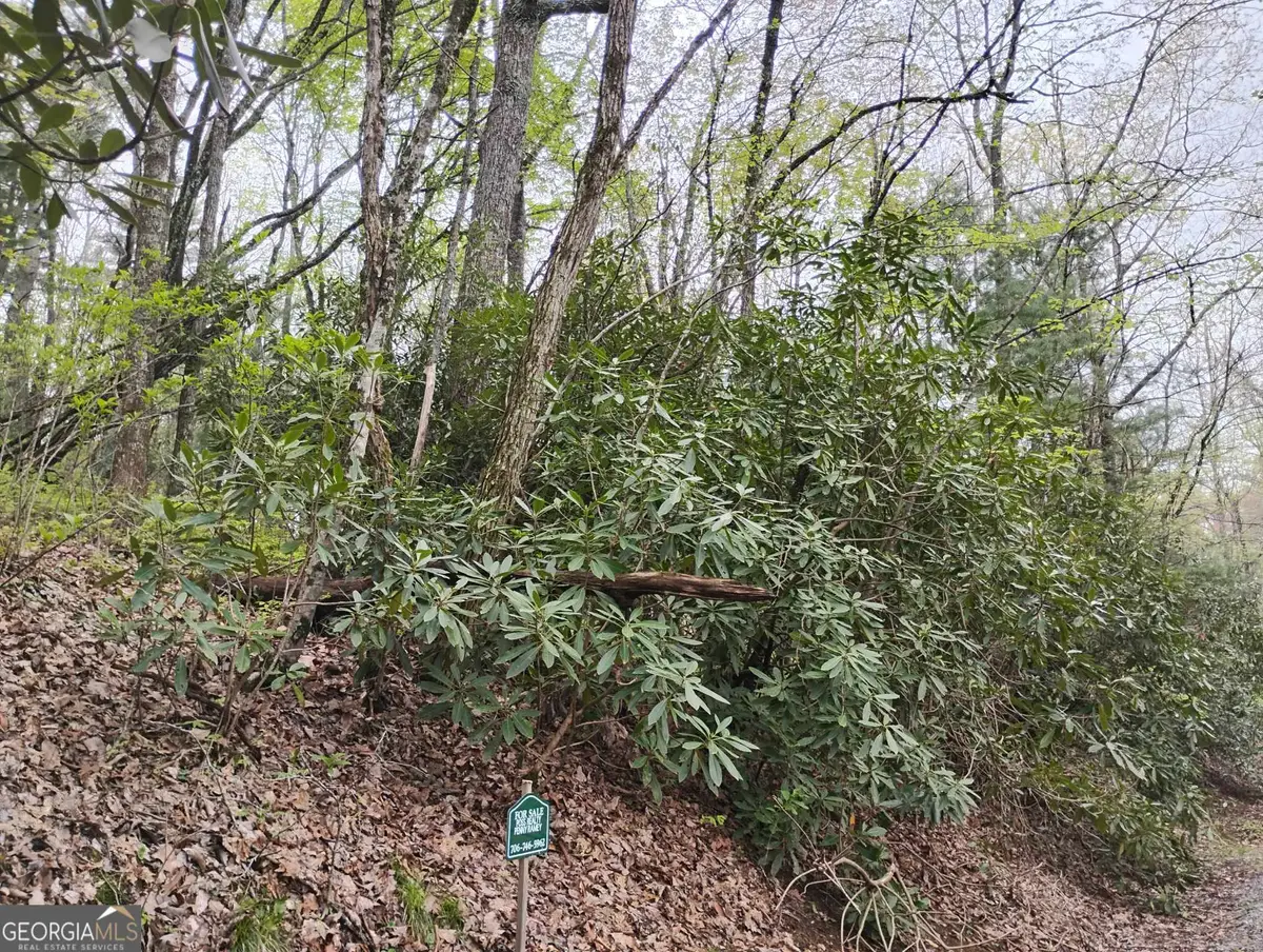 0 Rebel Circle #LOT 39, Sky Valley, GA 30537 - #1