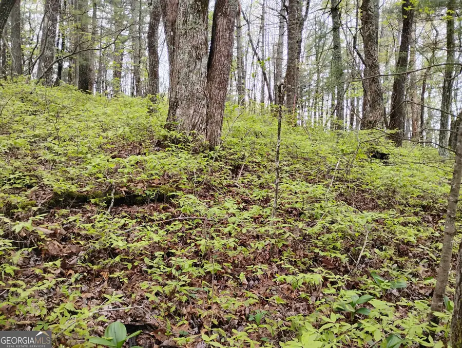 0 Rebel Circle #LOT 39, Sky Valley, GA 30537 - #3