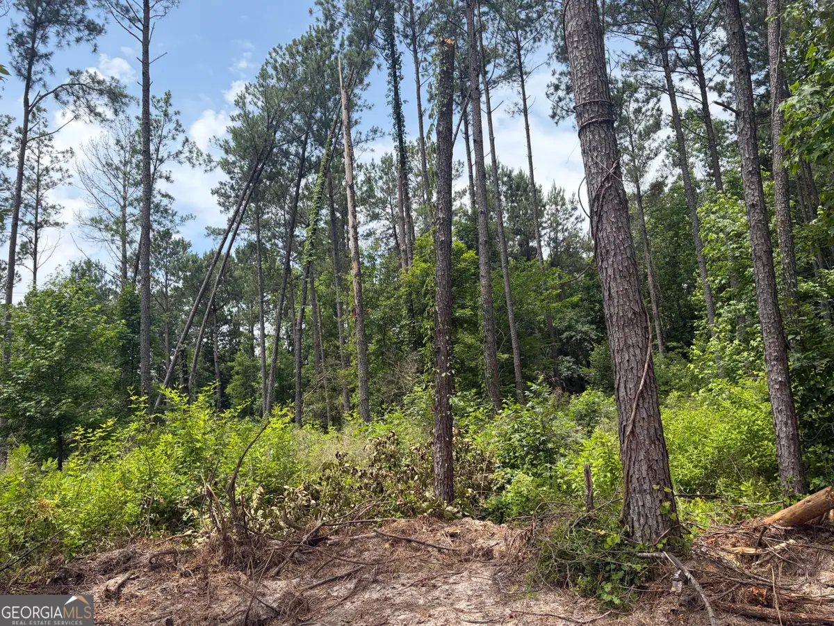 5 Sunhill Grange Road, Davisboro, GA 31018 - #1